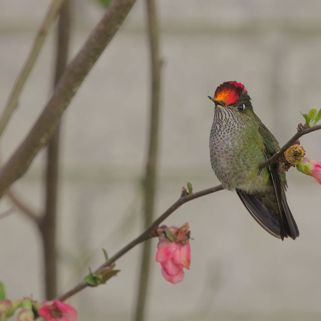 536278581 10234304195644766 7519985079732926736 n (1)